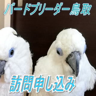 訪問申し込み